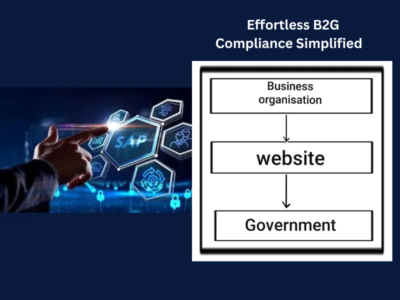 B2G and SAP ERP